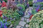 USA- Oregon. Cannon Beach Garden and path with Blue Salvia and reddish geraniums Art Print